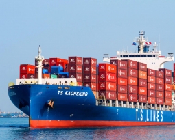 T.S. Lines Bi-Weekly Newsletter / November 4, 2022